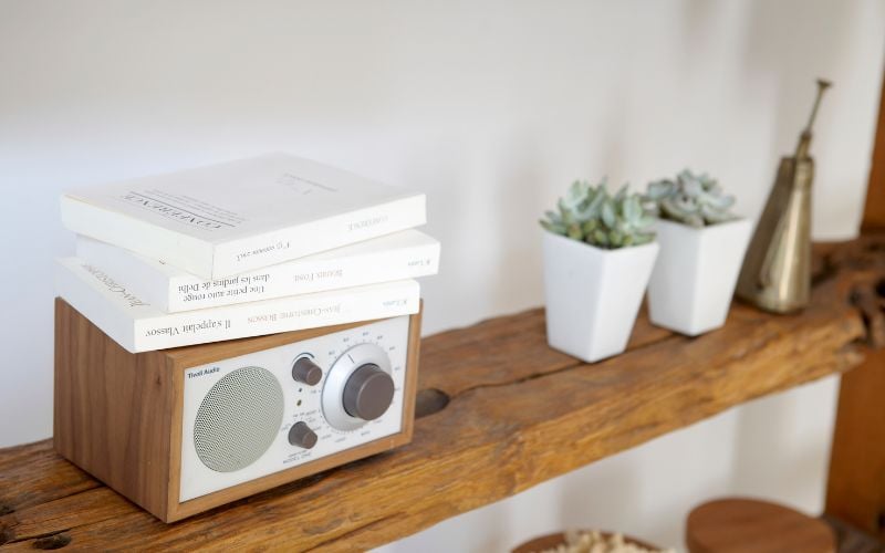 Small radio on a wooden shelf with plants against a white background