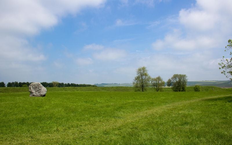 Open field with few trees on a clear, bright day with a blue sky 